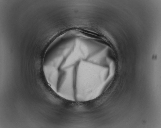 X0000092260113200710121347