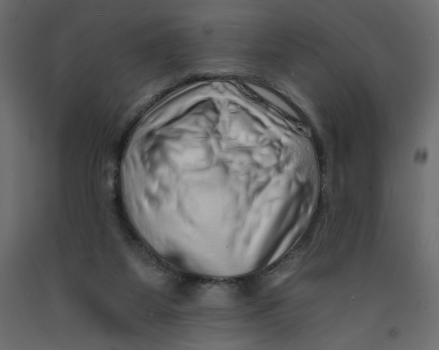 X0000092260115200710121347