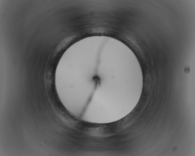 X0000092260116200710121347