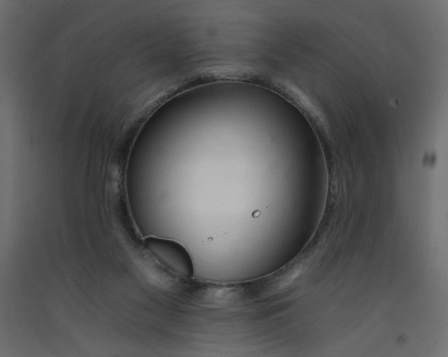 X0000092260117200710121347