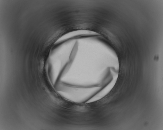 X0000092260118200710121347