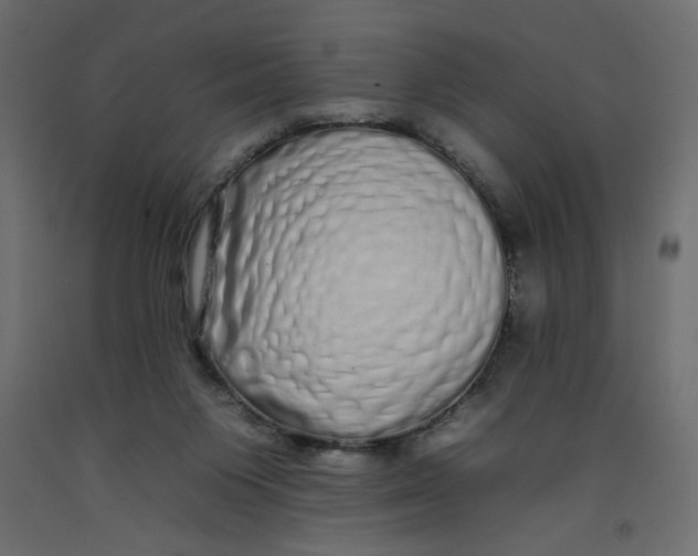 X0000092260119200710121347