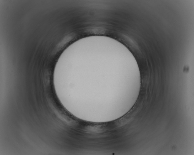 X0000092260120200710121347