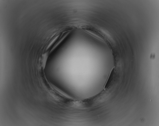 X0000092260121200710121347