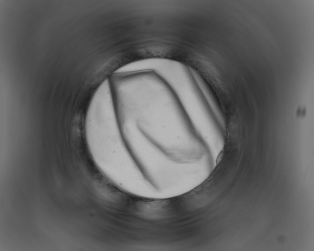 X0000092260122200710121347