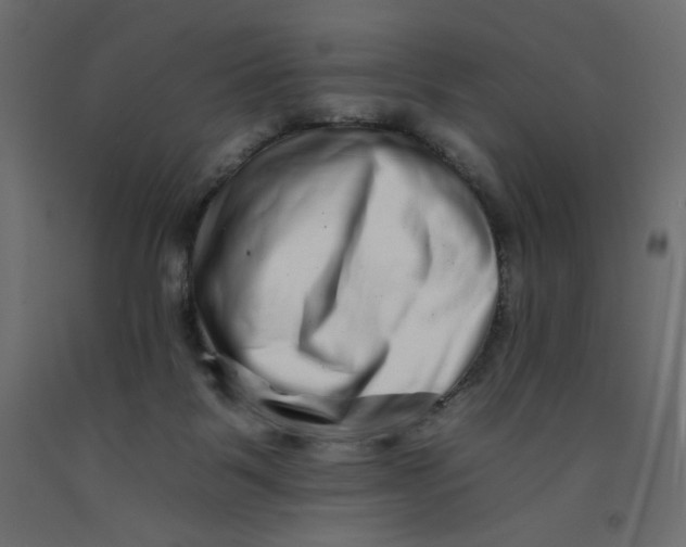 X0000092260123200710121347