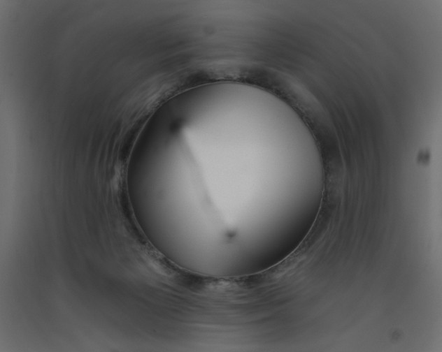 X0000092260125200710121347