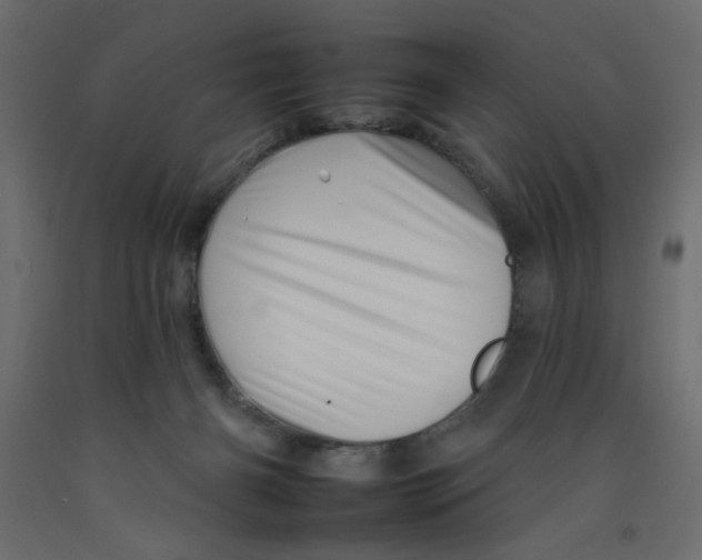 X0000092260126200710121347