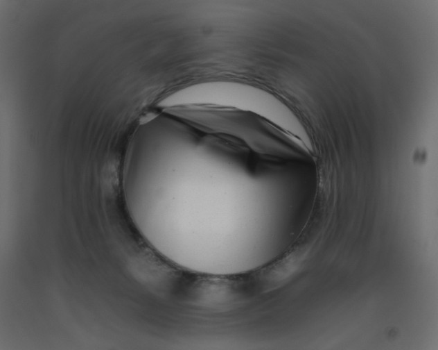 X0000092260127200710121347