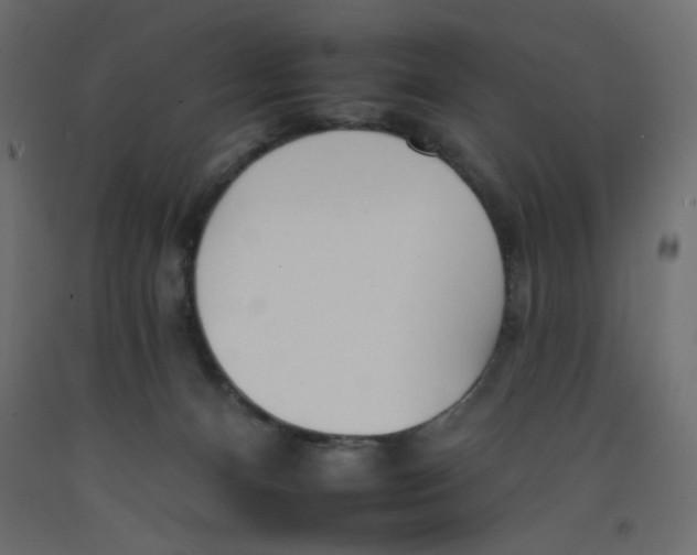 X0000092260128200710121347