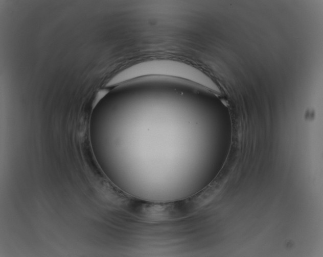 X0000092260129200710121347