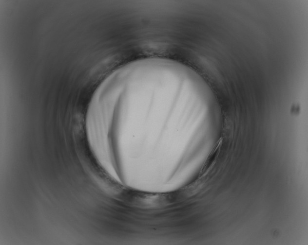 X0000092260130200710121347