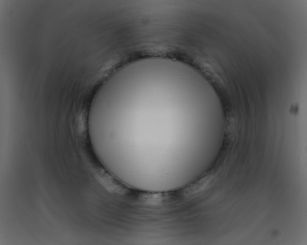 X0000092260131200710121347