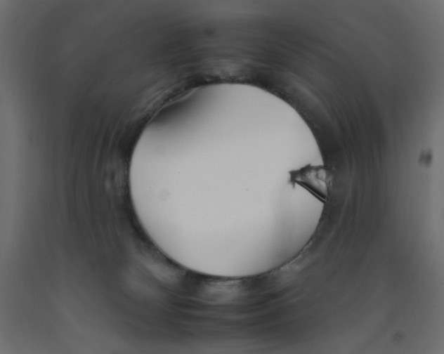 X0000092260132200710121347