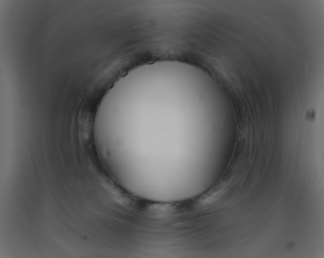 X0000092260133200710121347