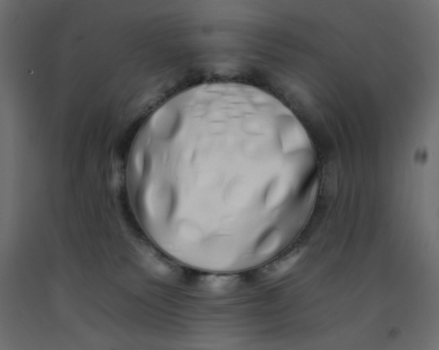 X0000092260135200710121347