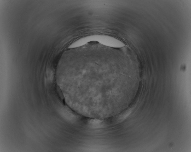 X0000092260139200710121347