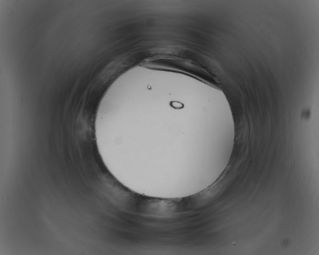 X0000092260140200710121347