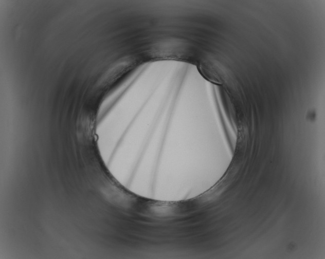 X0000092260142200710121347