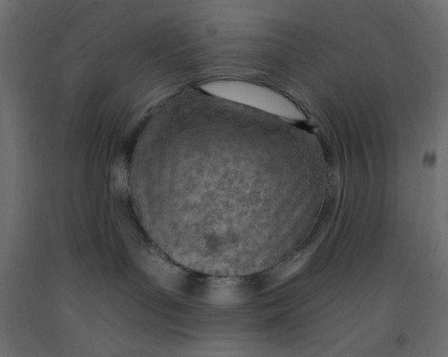 X0000092260143200710121347