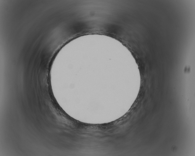 X0000092260146200710121346