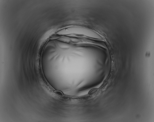 X0000092260149200710121346