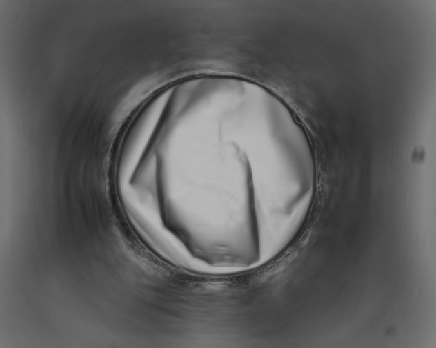 X0000092260151200710121346