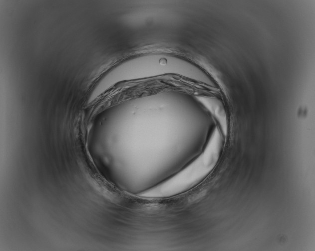 X0000092260153200710121346