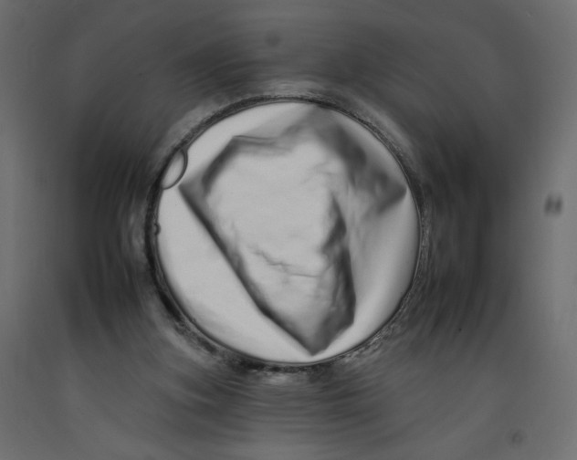 X0000092260155200710121346