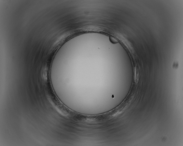 X0000092260157200710121346