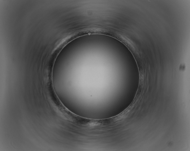 X0000092260158200710121346