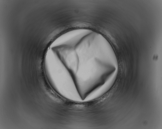 X0000092260159200710121346