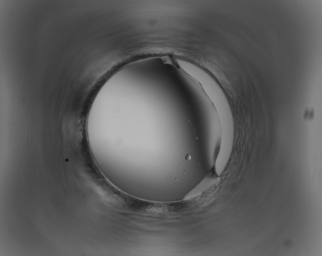 X0000092260160200710121346