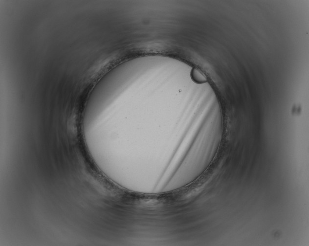 X0000092260161200710121346