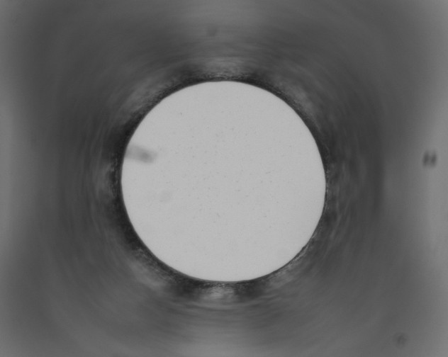 X0000092260162200710121346