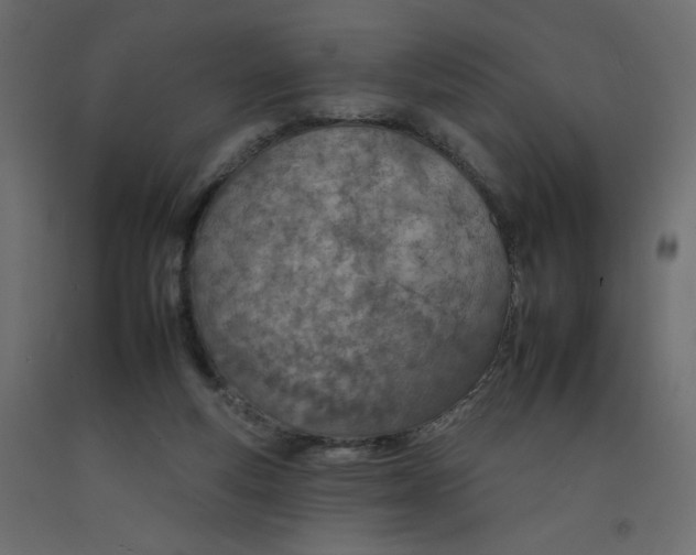 X0000092260163200710121346