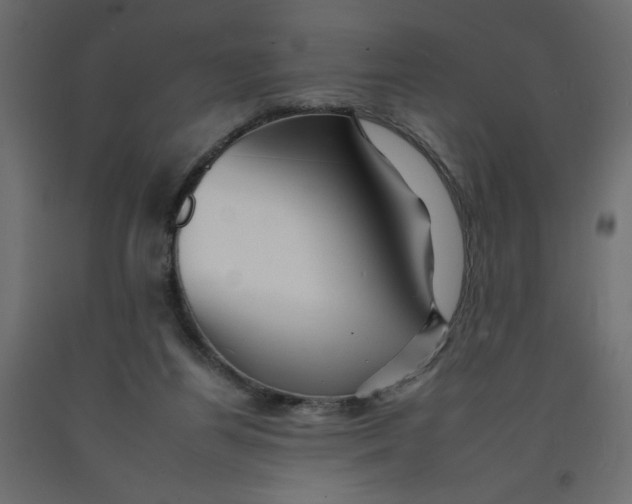 X0000092260164200710121346