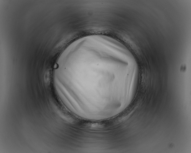 X0000092260165200710121346