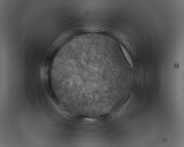 X0000092260167200710121346