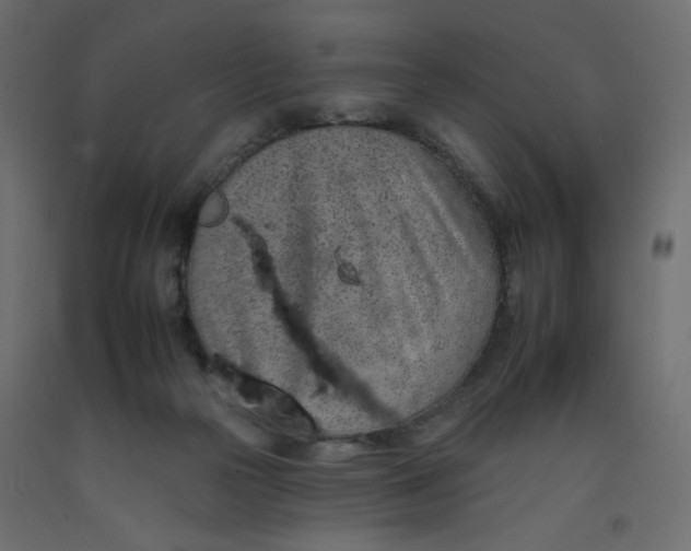 X0000092260169200710121346