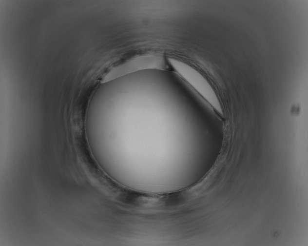 X0000092260170200710121346