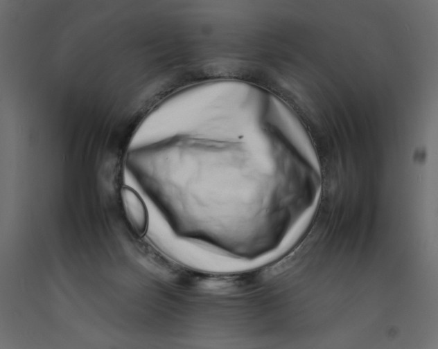 X0000092260171200710121346