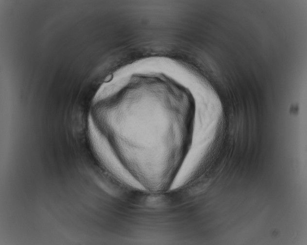 X0000092260173200710121346