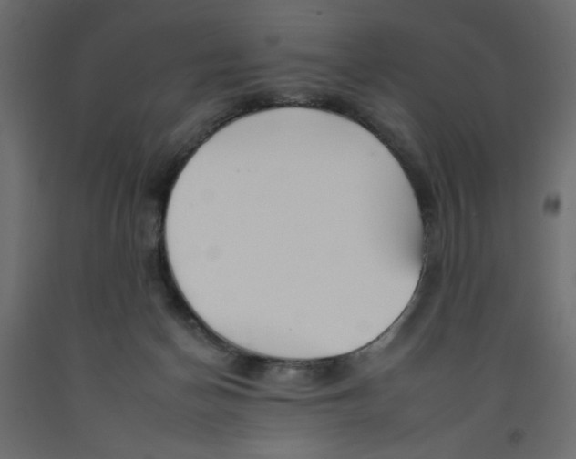 X0000092260174200710121346