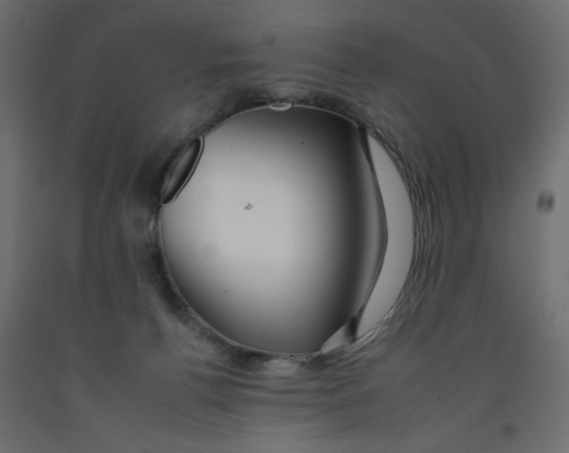 X0000092260176200710121347