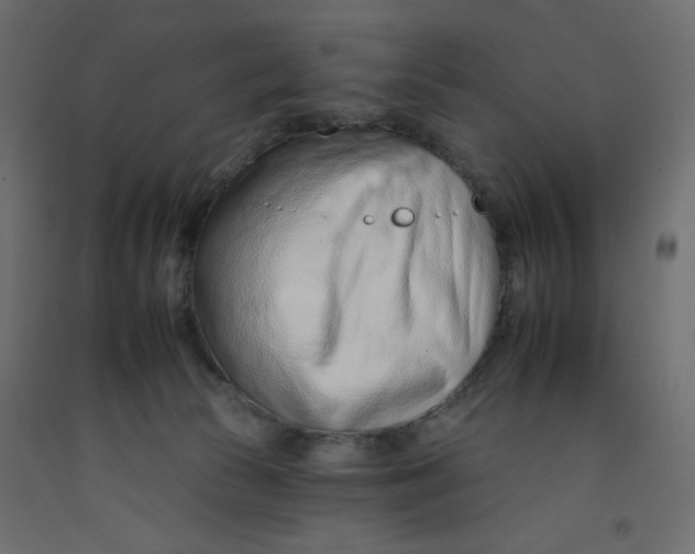 X0000092260177200710121347