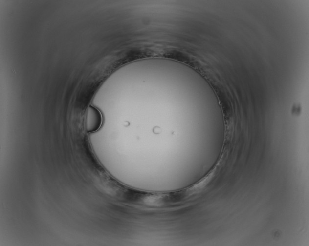 X0000092260178200710121347