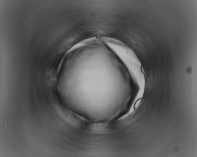 X0000092260179200710121347