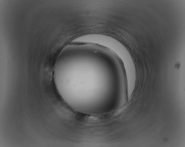 X0000092260180200710121347