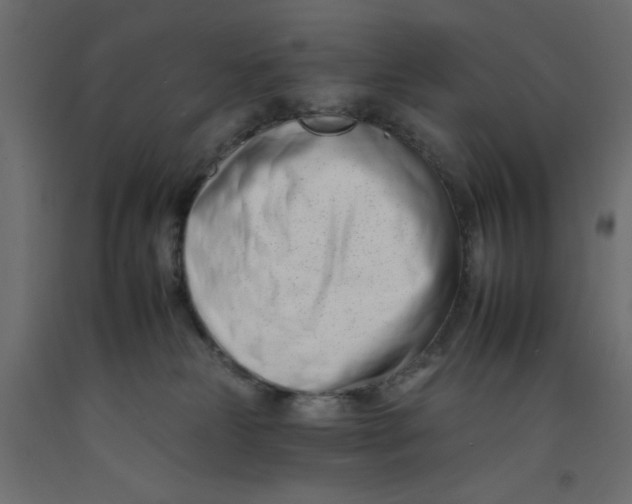 X0000092260181200710121347